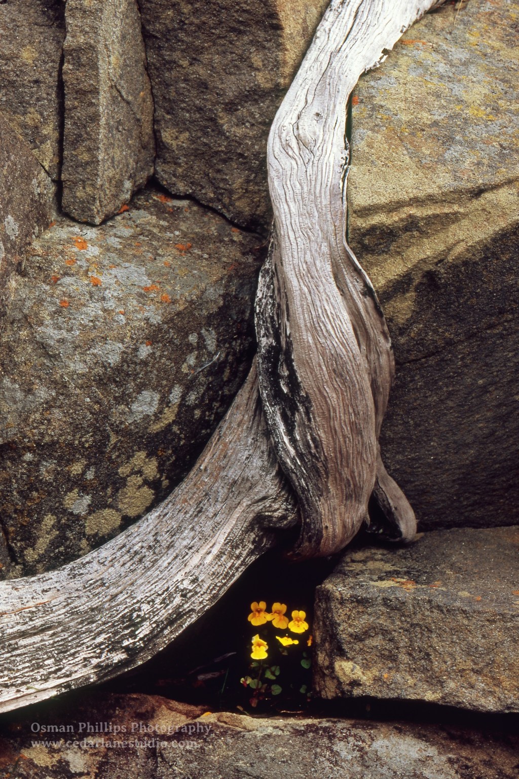 No: 190 Between a&nbsp;Rock…