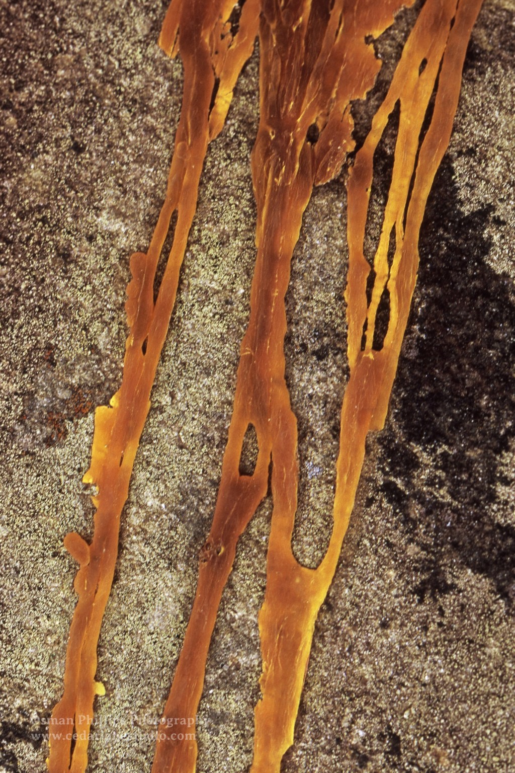 No: 191 Lines of Time, Gulf Islands,&nbsp;2009